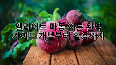 엘리어트 파동 이론 완벽 가이드: 개념부터 활용까지
