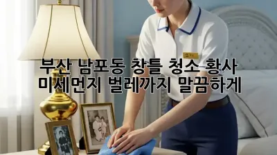 부산 남포동 창틀 청소: 황사, 미세먼지, 벌레까지 말끔하게!