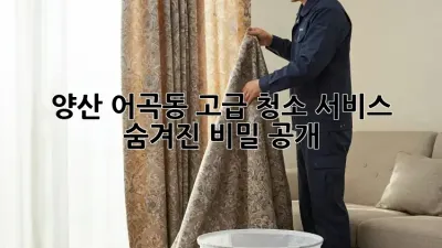 양산 어곡동 ✨고급 청소 서비스✨: 숨겨진 ✨비밀✨ 공개!