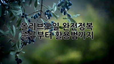 올리브오일 완전정복! 종류부터 활용법까지 🫒✨