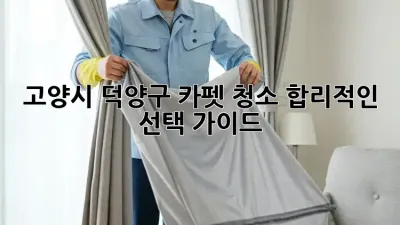 🏡 고양시 덕양구 카펫 청소, 합리적인 선택 가이드 💰
